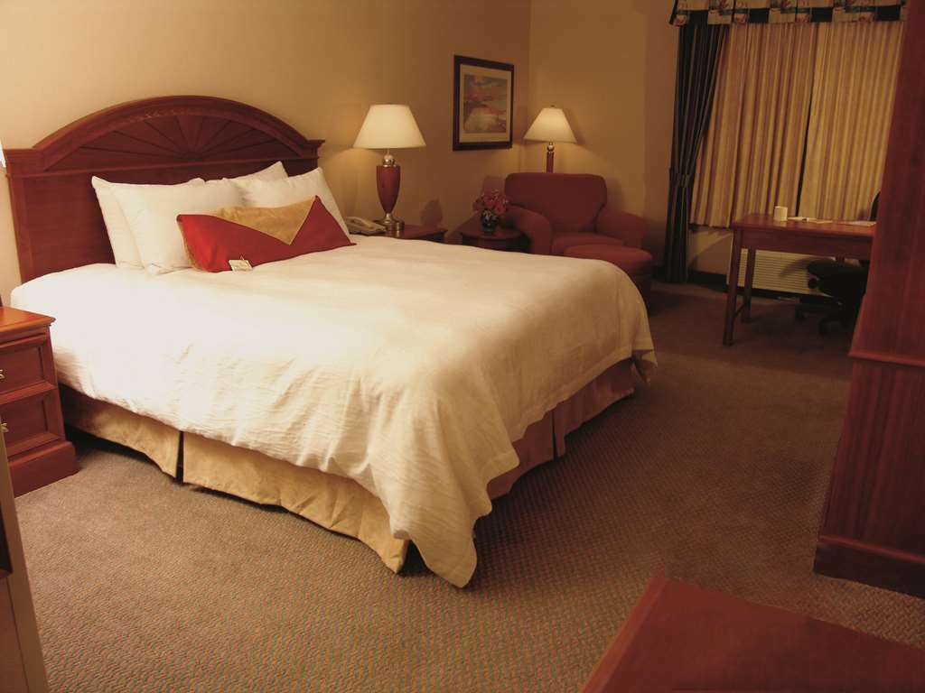 Hilton Garden Inn Mobile East Bay / Daphne Chambre photo